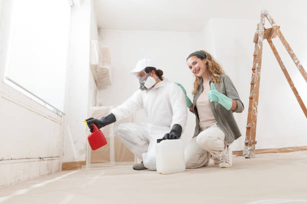 Best Mold Damage Restoration  in Robesonia, PA